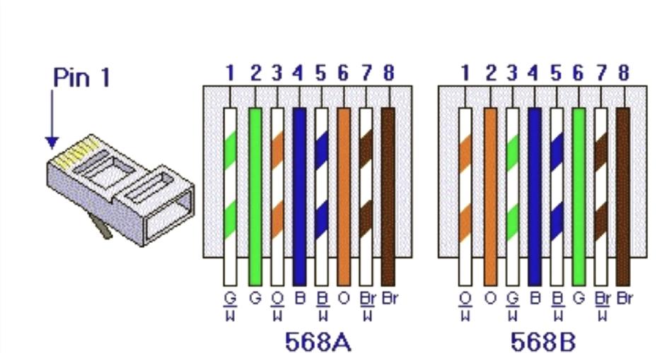 T568A